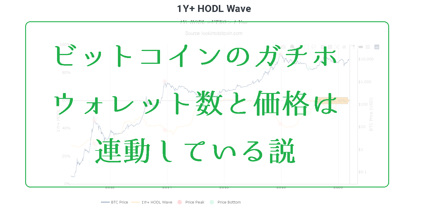 ビットコインのガチホウォレット数増加と価格上昇は連動している説を検証【HODL Wave】